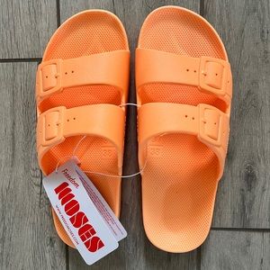 Freedom Moses Slides